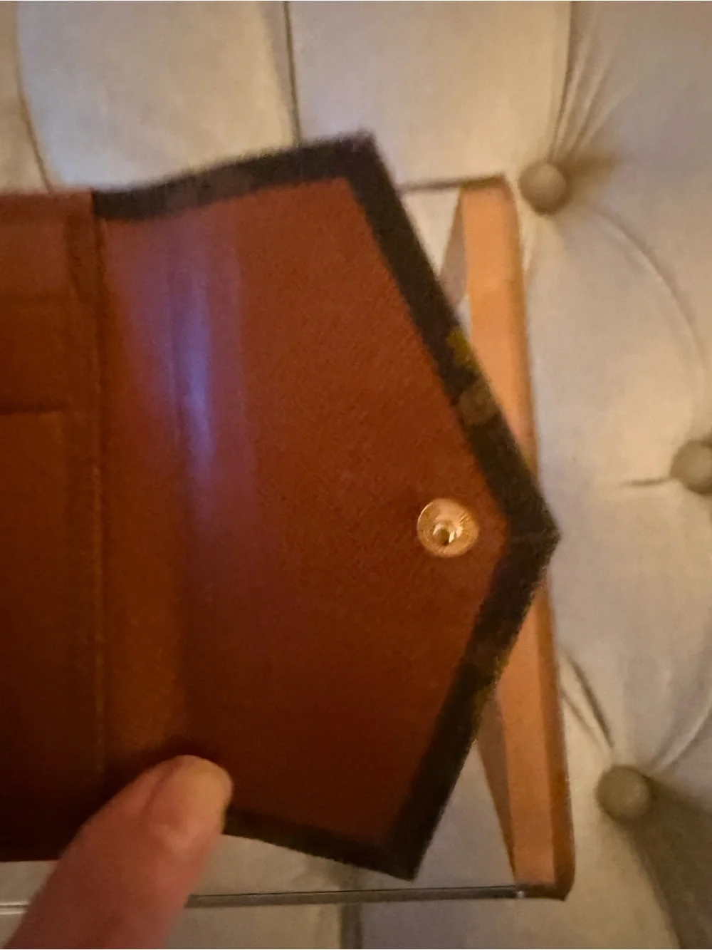 Louis Vuitton authentic louis